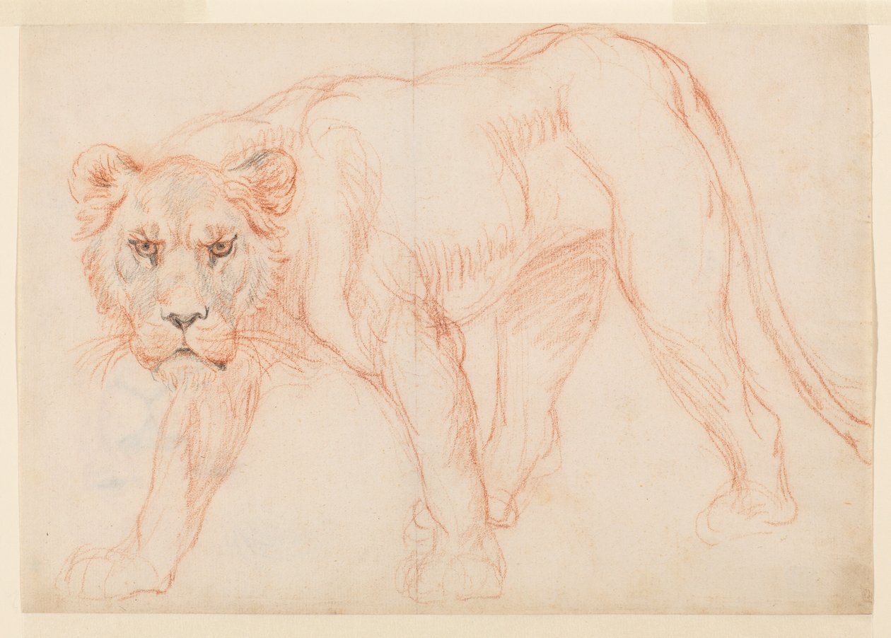 Leeuwin die sluipt, recto, 18e of 19e eeuw door George Stubbs