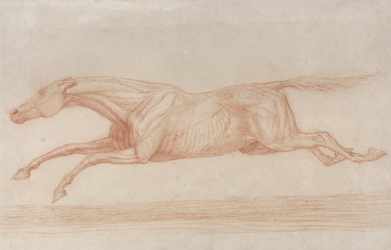 Studie van een renpaard in actie: galopperend naar links door George Stubbs