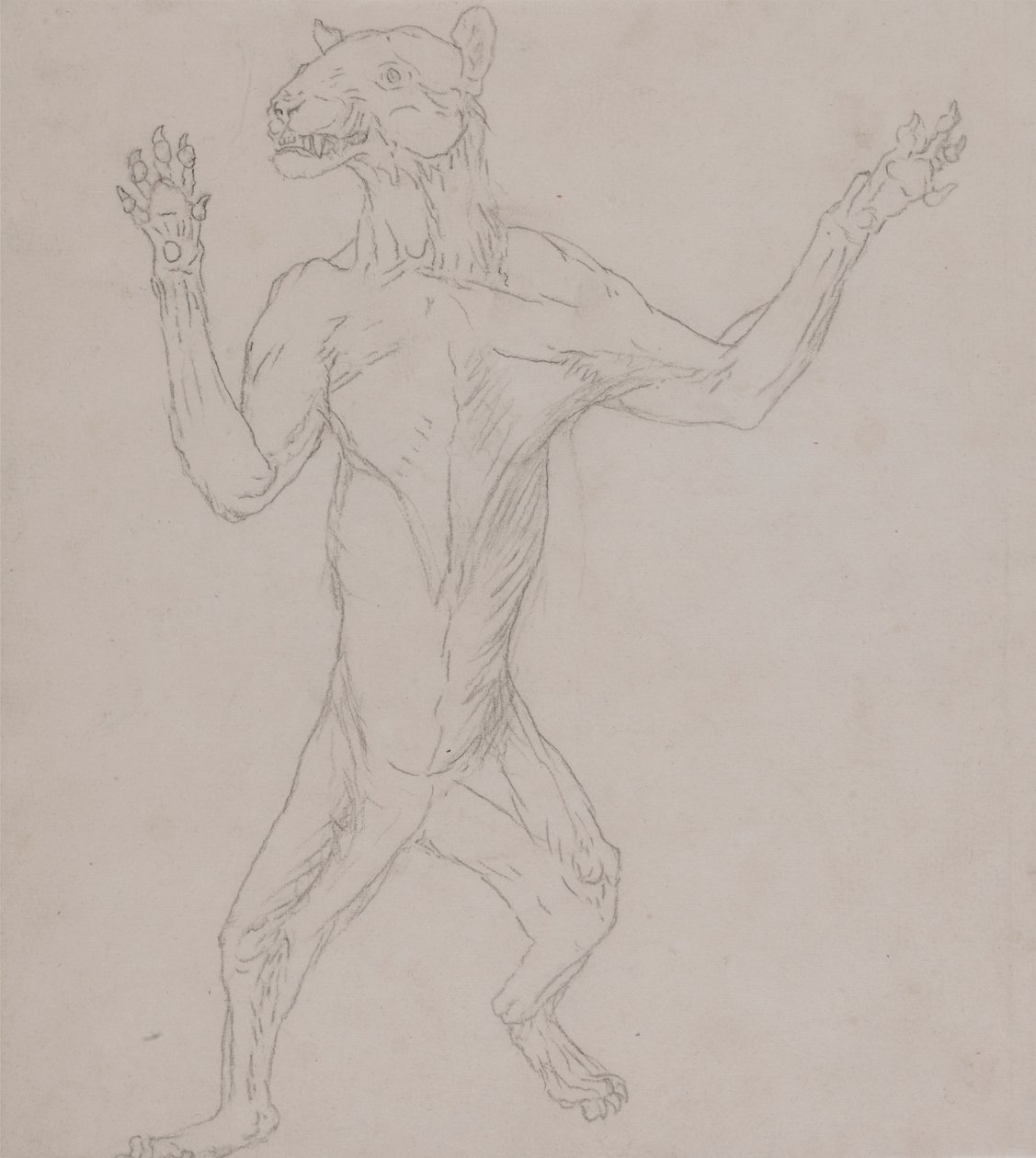 Tijgerlichaam, staand in menselijke houding door George Stubbs