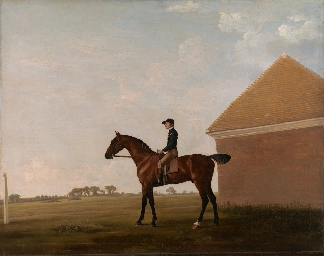 Turf, met jockey op, in Newmarket door George Stubbs