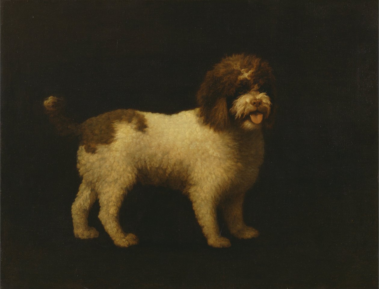 Water Spaniel door George Stubbs