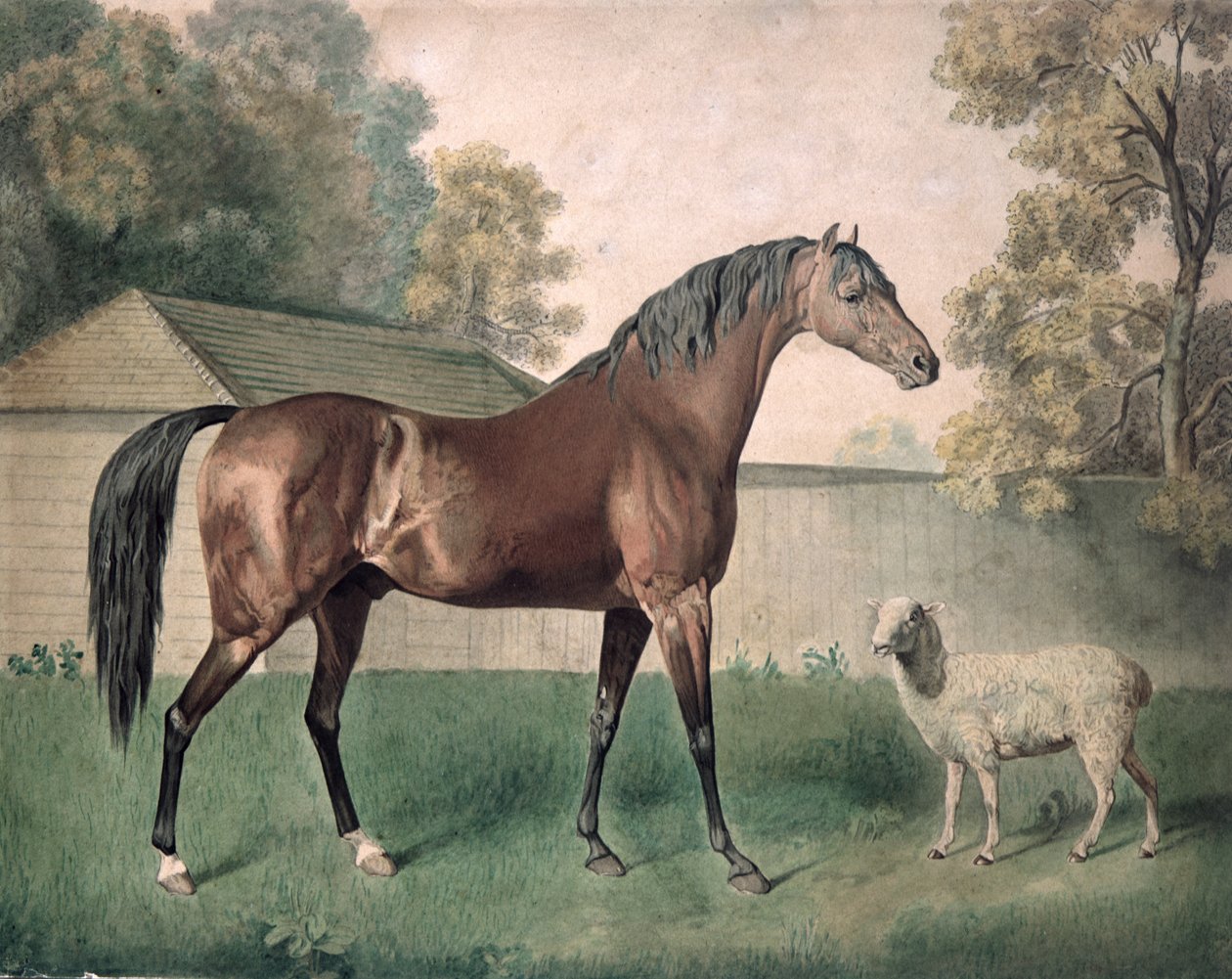 Dungannon door George Townley Stubbs