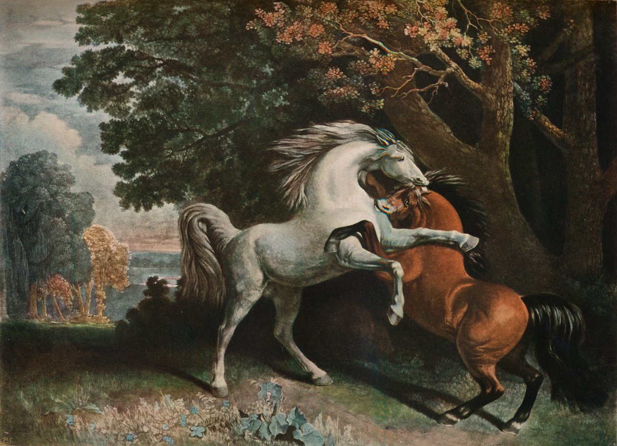 Vechtende paarden, 18e eeuw, 1902 door George Townley Stubbs