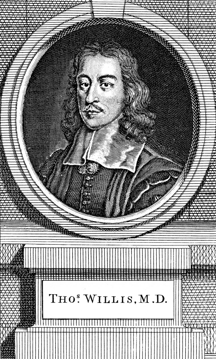 Thomas Willis, 17e eeuwse Engelse arts, 1742 door George Vertue