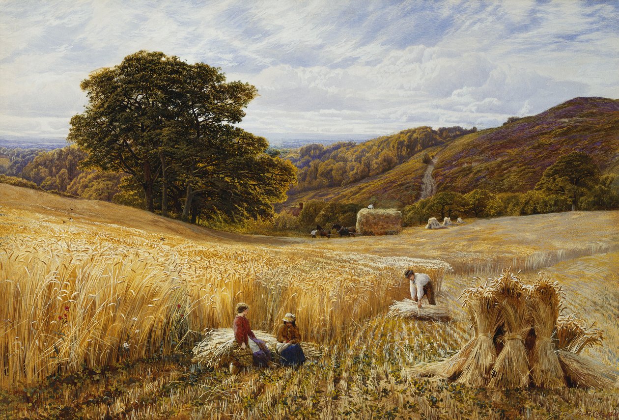 Oogsttijd bij Holmbury Hill, Surrey door George Vicat Cole