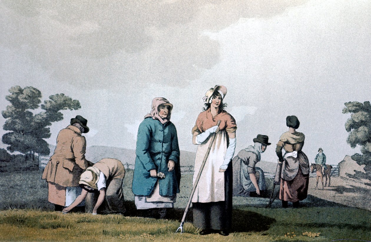 Lowkers - vrouwen die maïs wiedden door George Walker of Seacroft