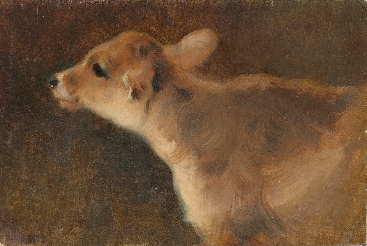 Een Kalf, 1879 door George Wiliam Horlor