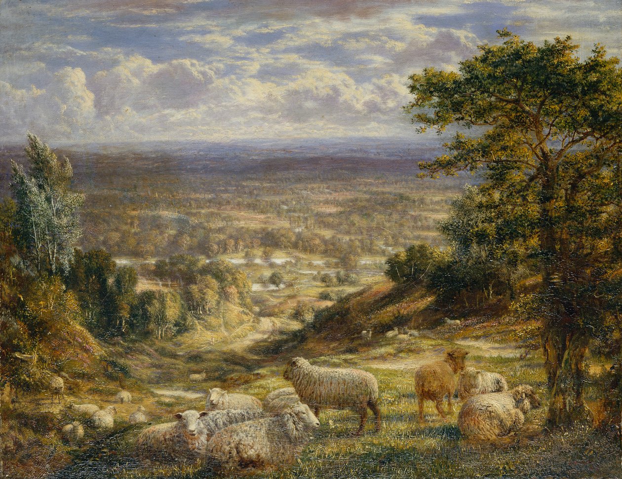 Een Zomerlandschap met Schapen door George William Mote