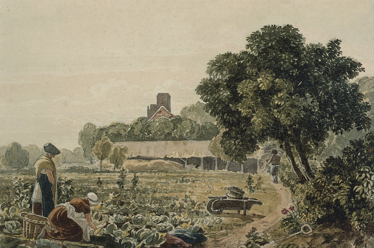 Moestuin in Chelsea door George the Younger Barret