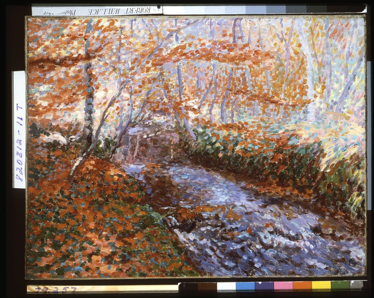 De Briante rivier (bosinterieur in de herfst) door Georges Lacombe