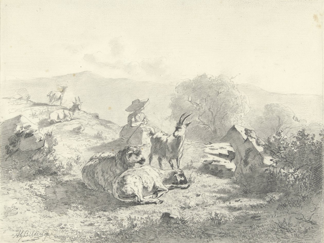 Herderin met geiten en schapen in bergachtig landschap door Gerard Bilders