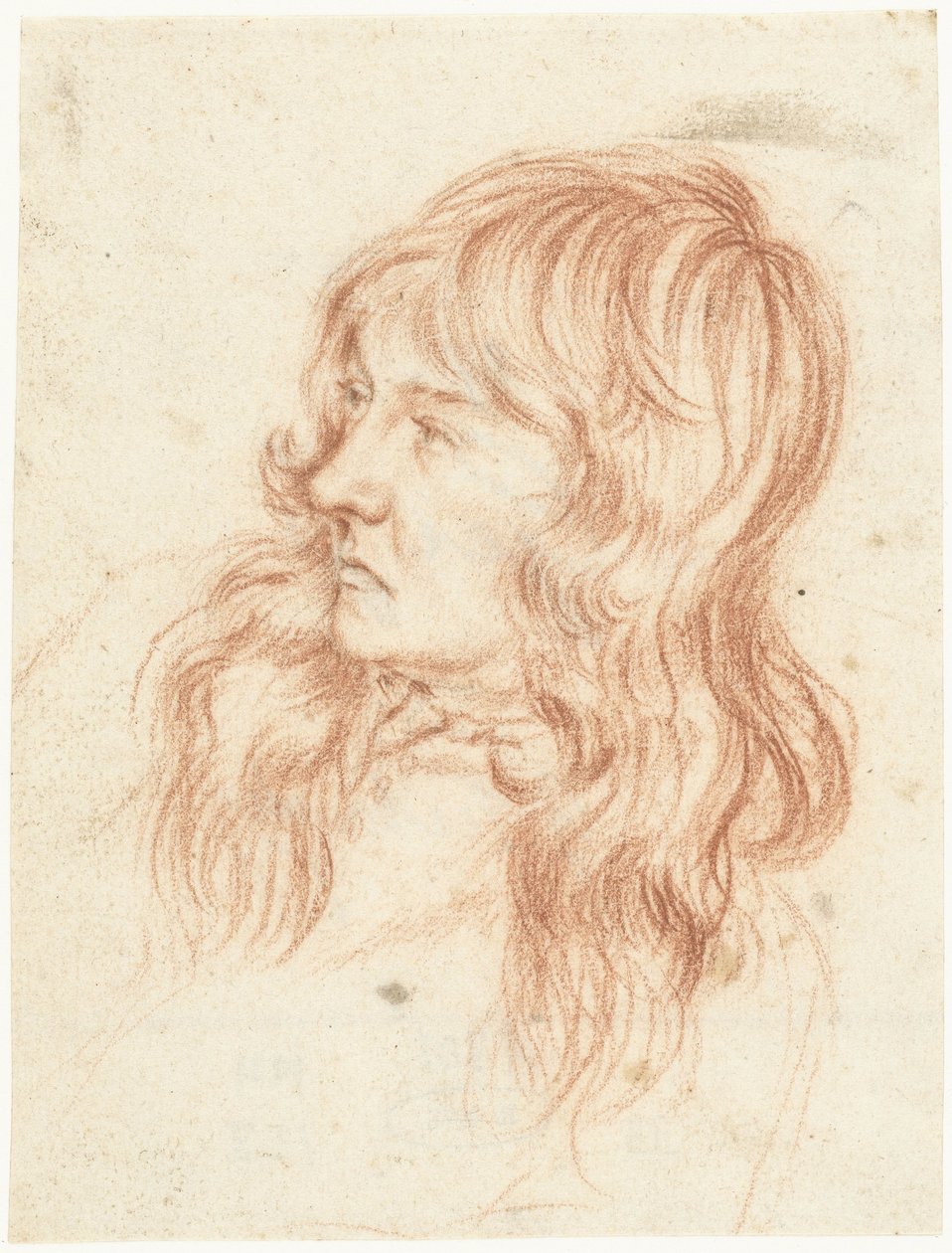 Hoofd van een jongeman, naar links door Gerard ter Borch (II)