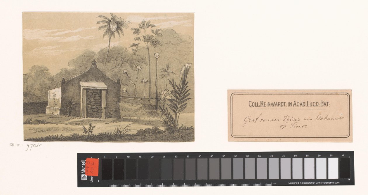 Graf van de keizer op Timor door Gerardus Johannes Bos