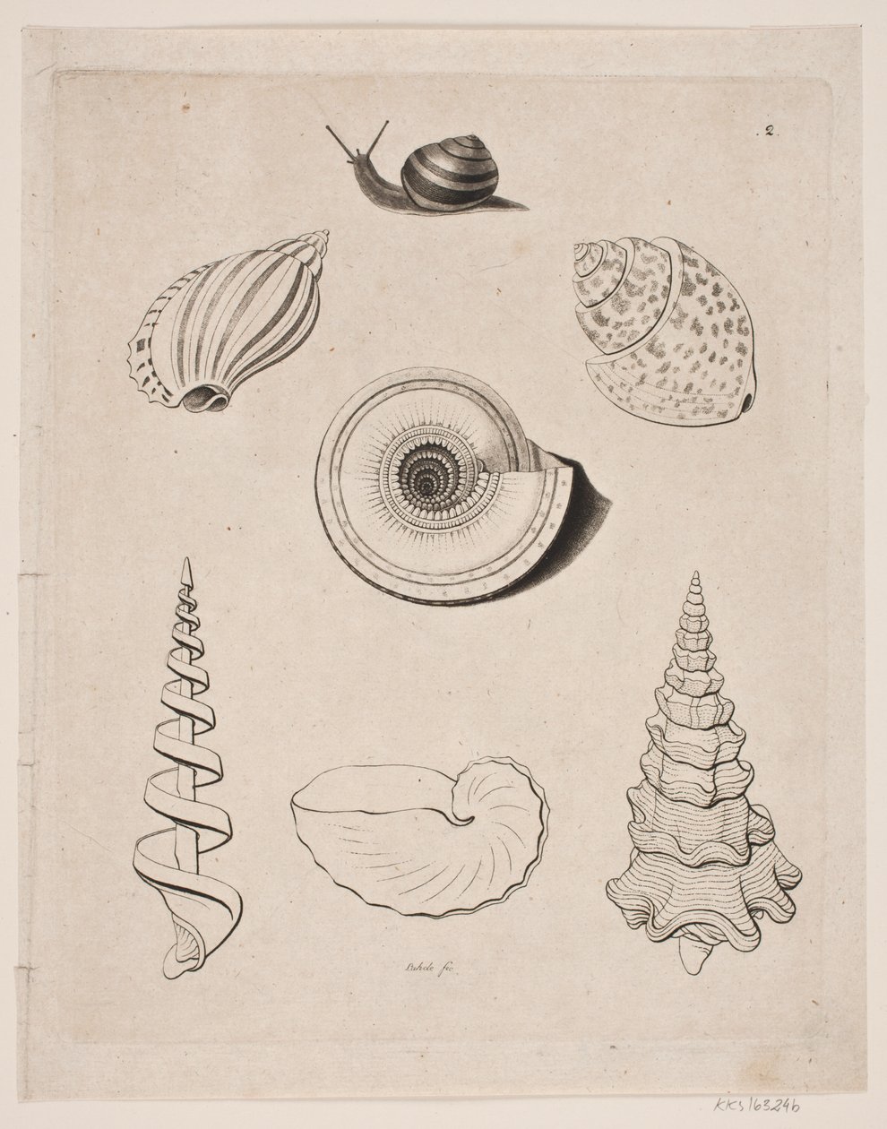 Bord met slakken door Gerhard Ludvig Lahde