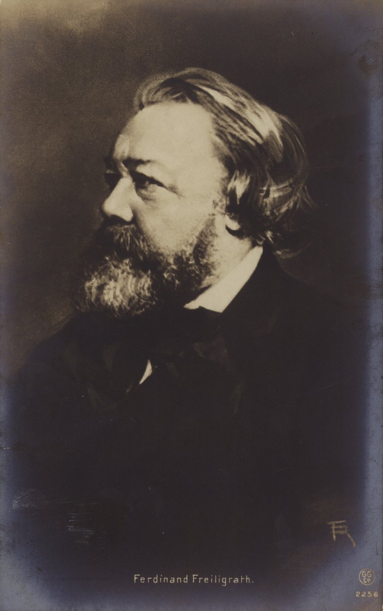 Ferdinand Freiligrath (1810-1876), Duits dichter (z/w foto) door German Photographer