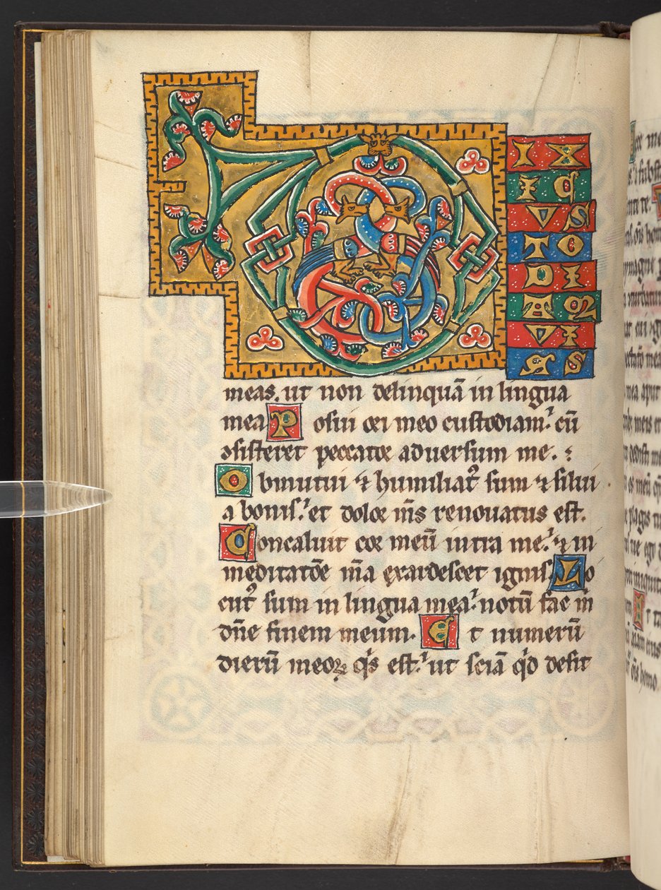 Grote ingelijste initialen in goud en kleuren met blad- en soms dierlijke en antropomorfe ornamenten (perkament) door German School