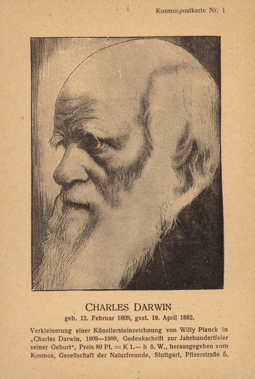 Charles Darwin (1809-1882), Engels natuuronderzoeker (litho) door German School