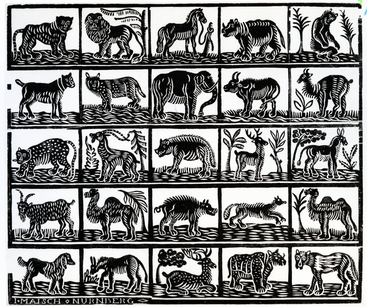Collectie van dieren door German School
