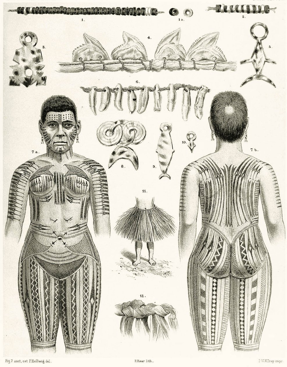 Diagram van Polynesische sieraden, ornamenten en tatoeageontwerpen, 1888 door German School