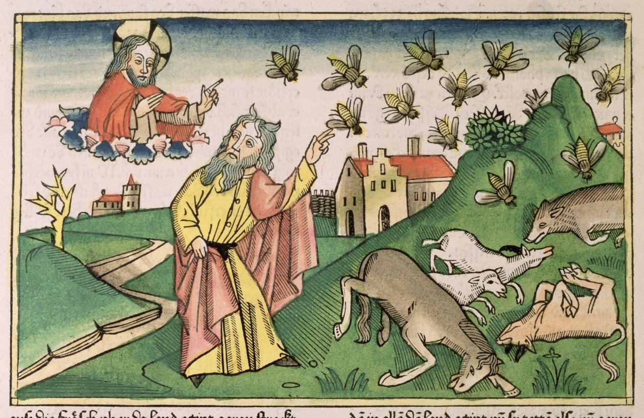 Exodus 8:20-32 De Zeven Plagen van Egypte: Mozes en de zwerm vliegen, uit de 