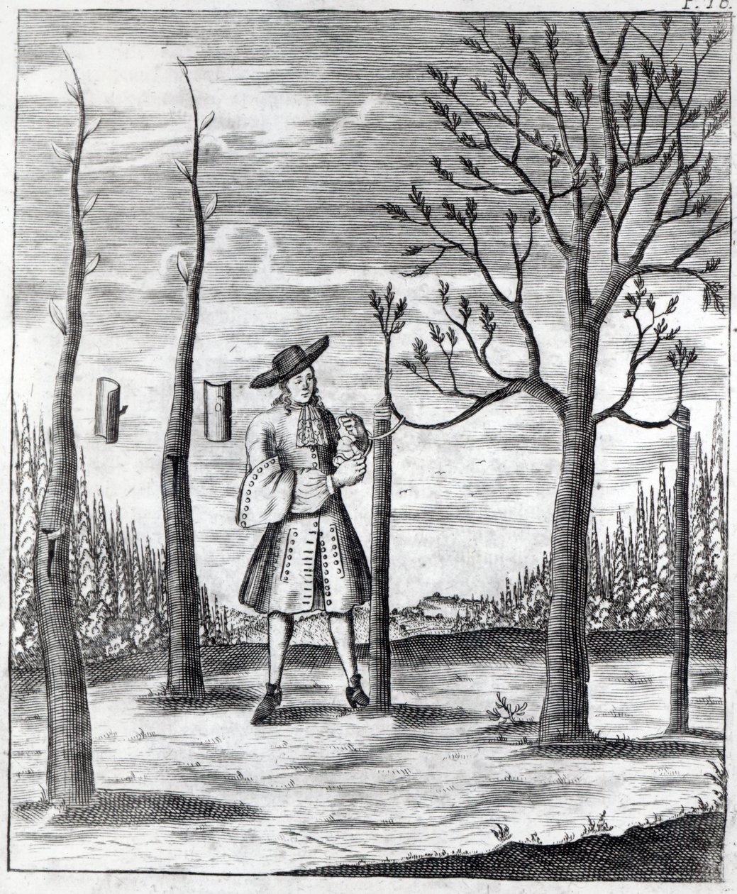 Tuinieren en plantenziekten, een illustratie uit 