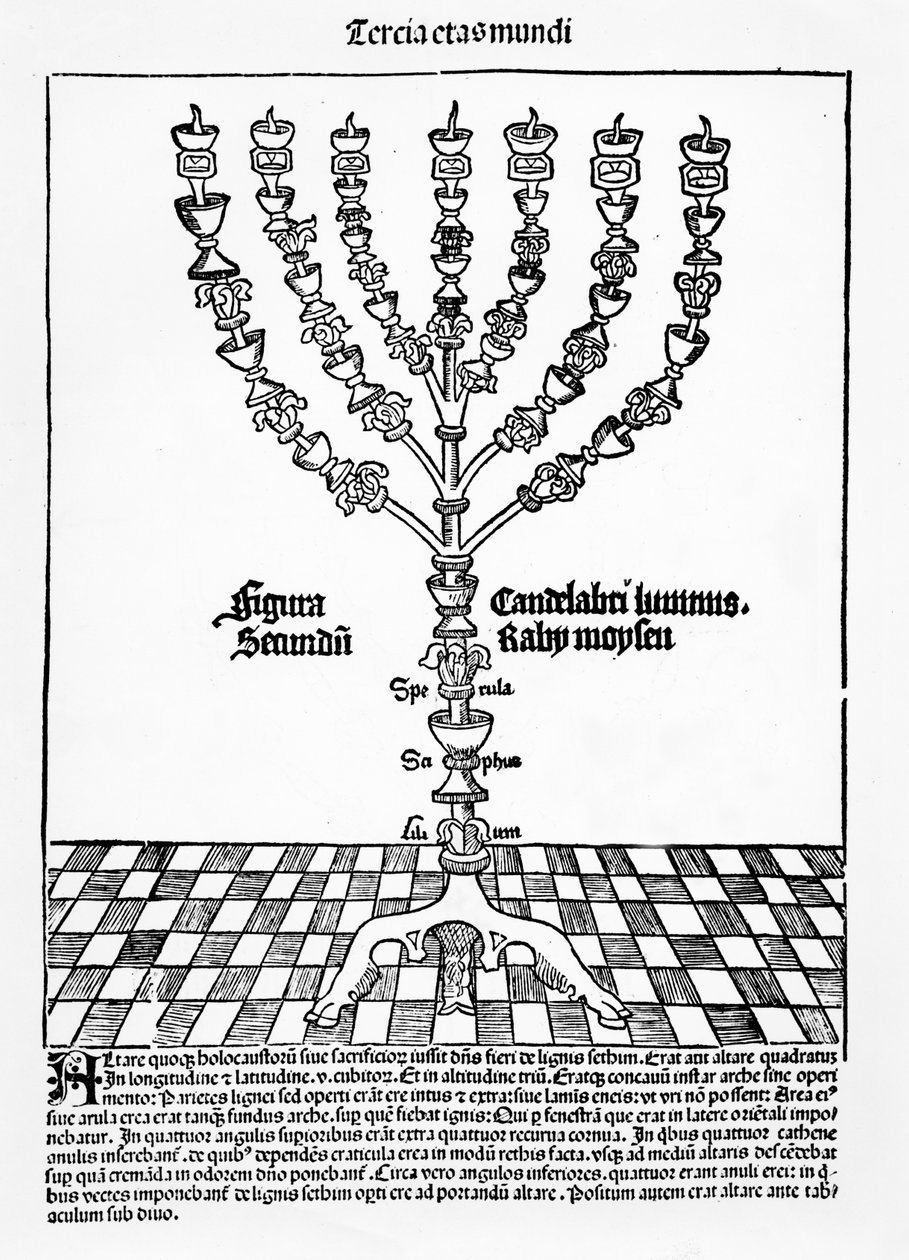 Menorah, uit Liber Chronicarum door Hartmann Schedel, gepubliceerd in Neurenberg, 1493 door German School