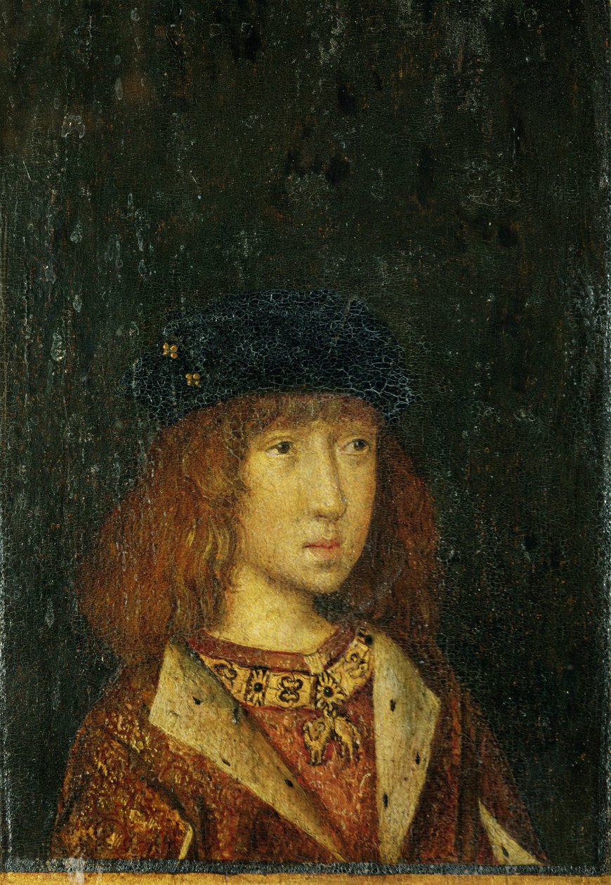 Philipp der Schoene, koning van Spanje, 16 jaar oud ... (schilderij op hout) door German School