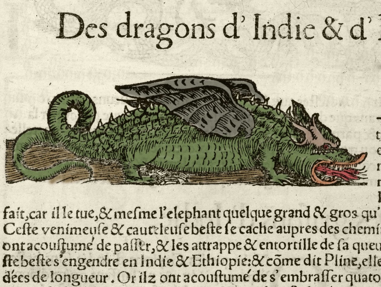 Voorstelling van een draak uit India. Houtsnede uit Sebastien Munster