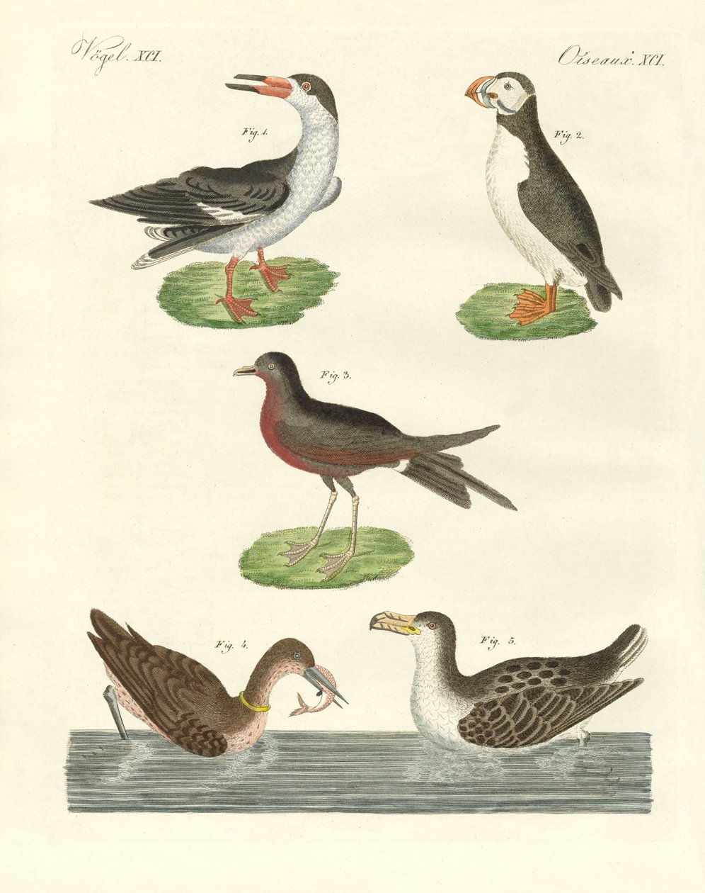 Vreemde watervogels door German School