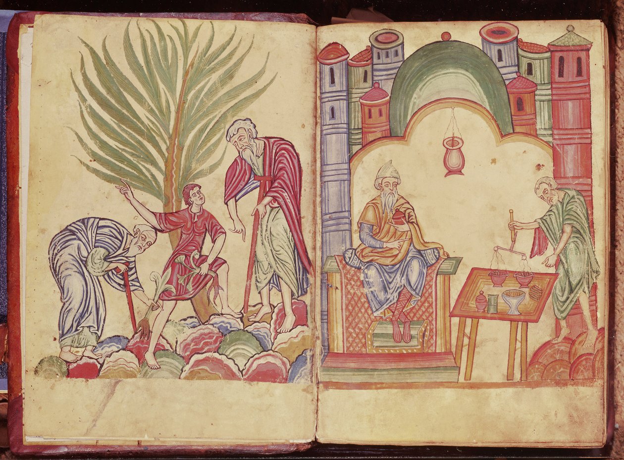 De Kunst van de Apotheker, uit Apuleius Dioscorides door German School