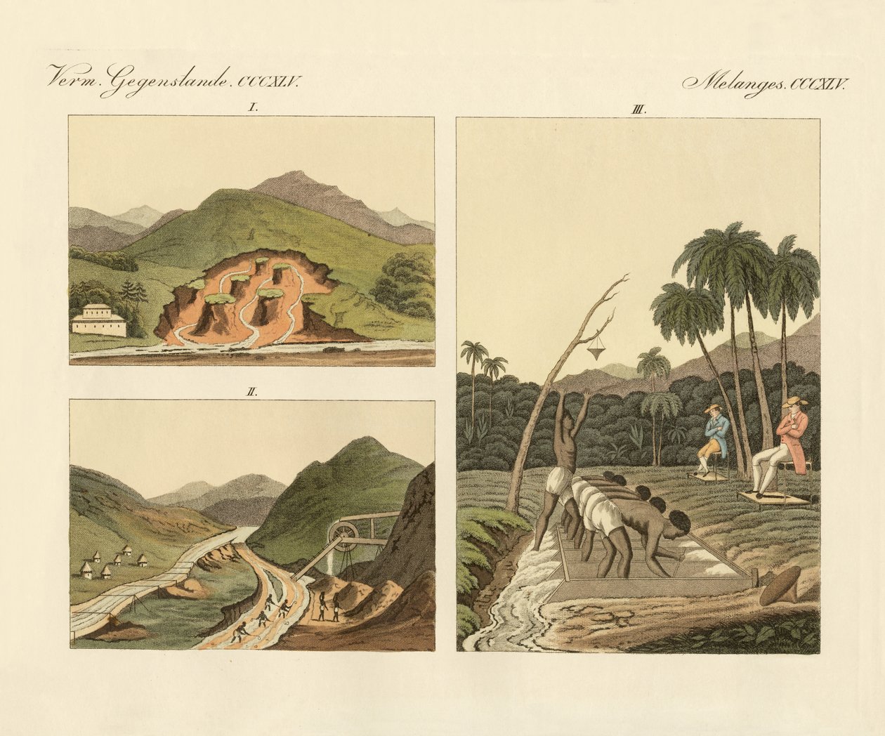 De edelsteenmijnen in Brazilië (gekleurde gravure) door German School