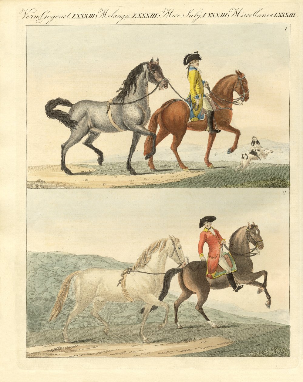 Het paard met zijn verschillende soorten door German School