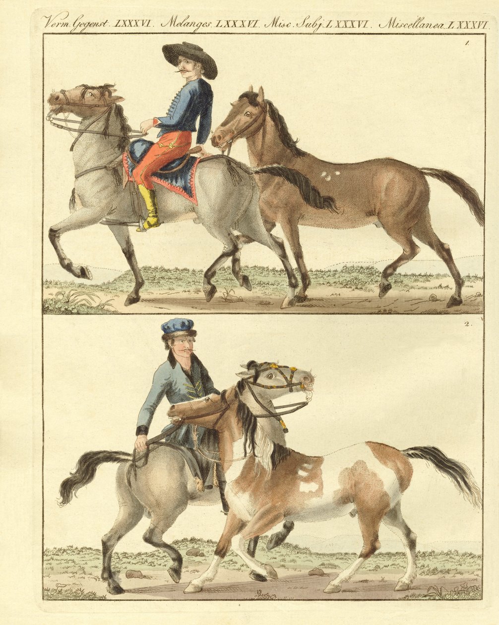 Het paard met zijn verschillende soorten door German School