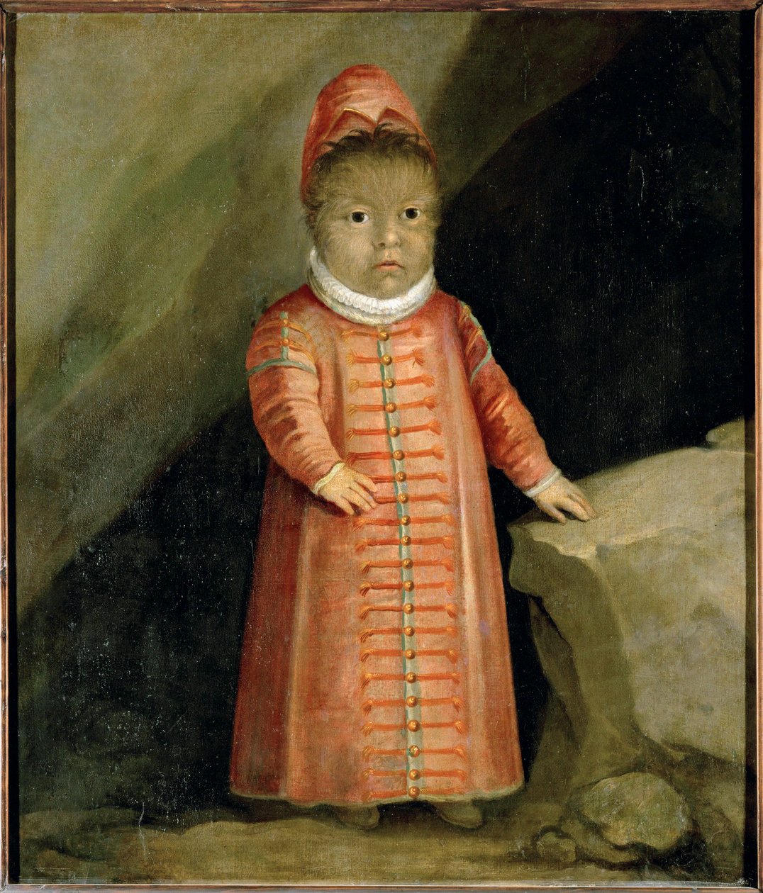 De zoon van Petrus Gonzalvus werd geëxamineerd in 1596 ... door German School