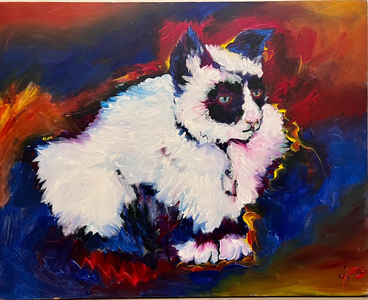 Bungee de kat door Gerrit Greve