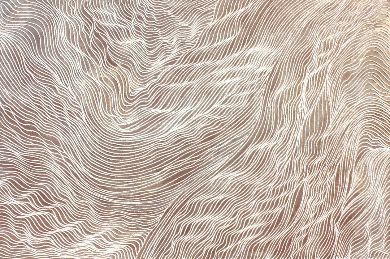 Journey 298, 2010 (zand en acryl op doek) door Gerrit Greve