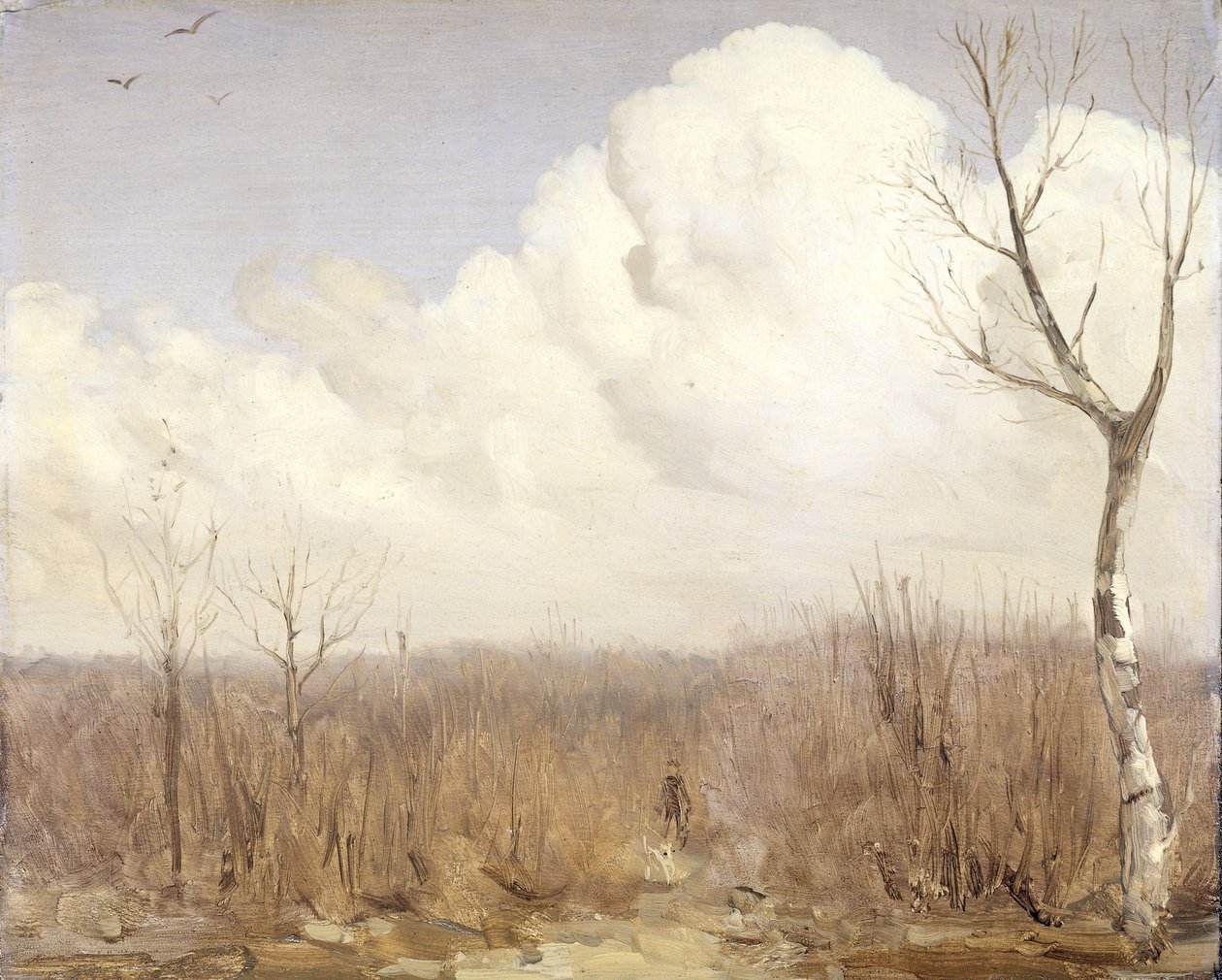  door Gerrit Willem Dijsselhof