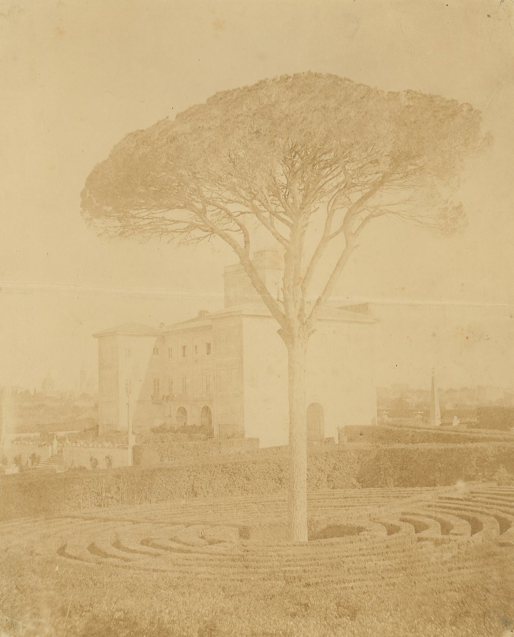 [Boom in Formele Tuin Buiten Palazzo], 1860s-70s door Giacomo Caneva