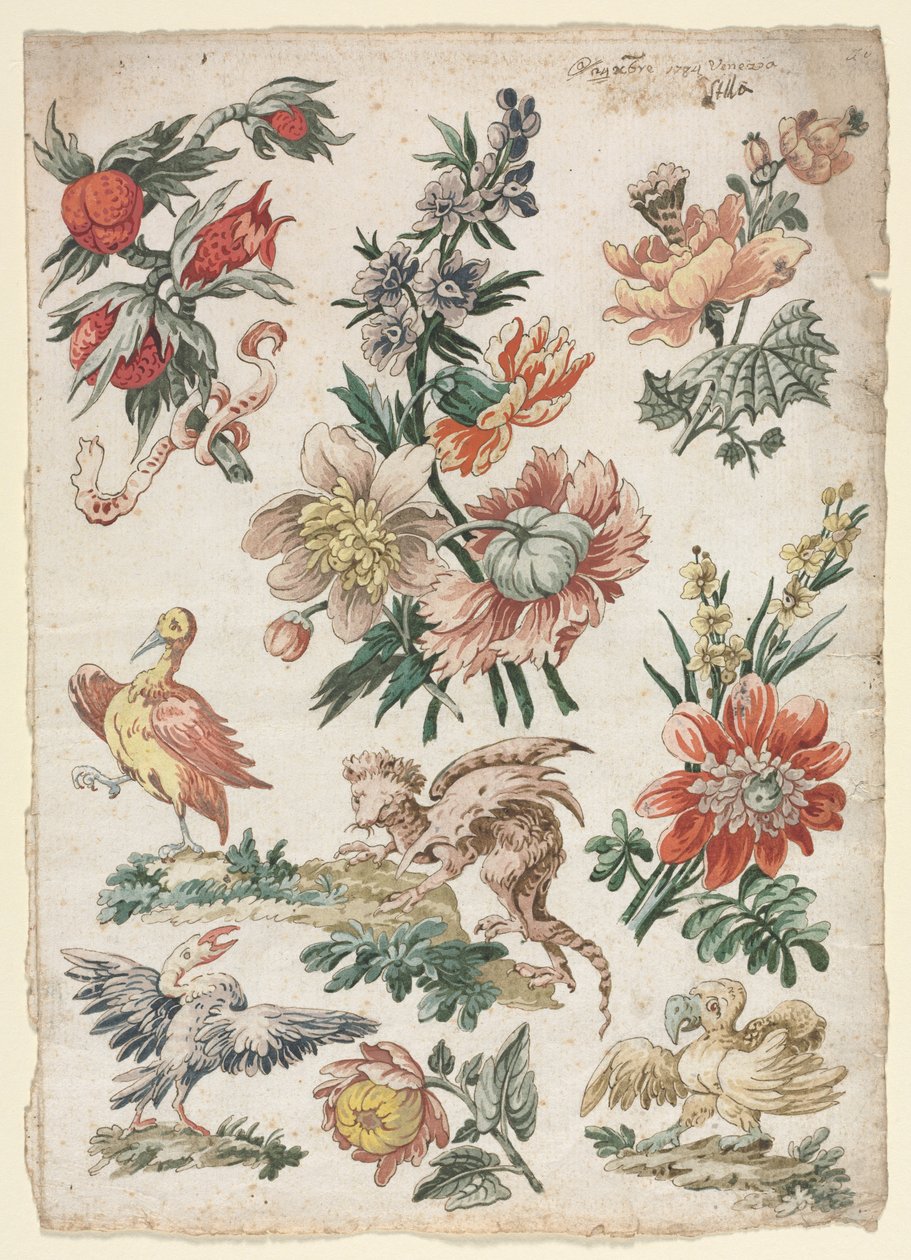 Bloemmotieven met vogels en griffioen, 1784 door Giacomo Cavenezia