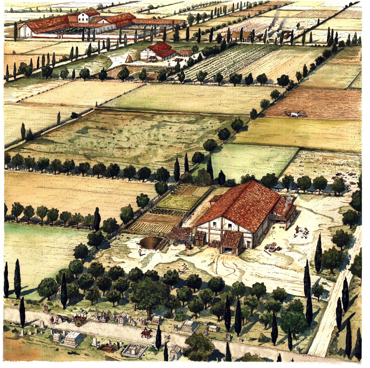 Het oude Rome: reconstructie van een plan voor de indeling van het territorium dat bekend staat als "Romeinse Centurië", gericht op het geometrisch uitsnijden van een landbouwgebied in de koloniën, volgens Romeinse eenheden (of eeuwen), Italië door Giorgio Albertini