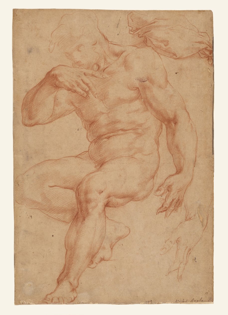 Studien eines männlichen Aktes, eines Gewandes und einer Hand door Giorgio Vasari
