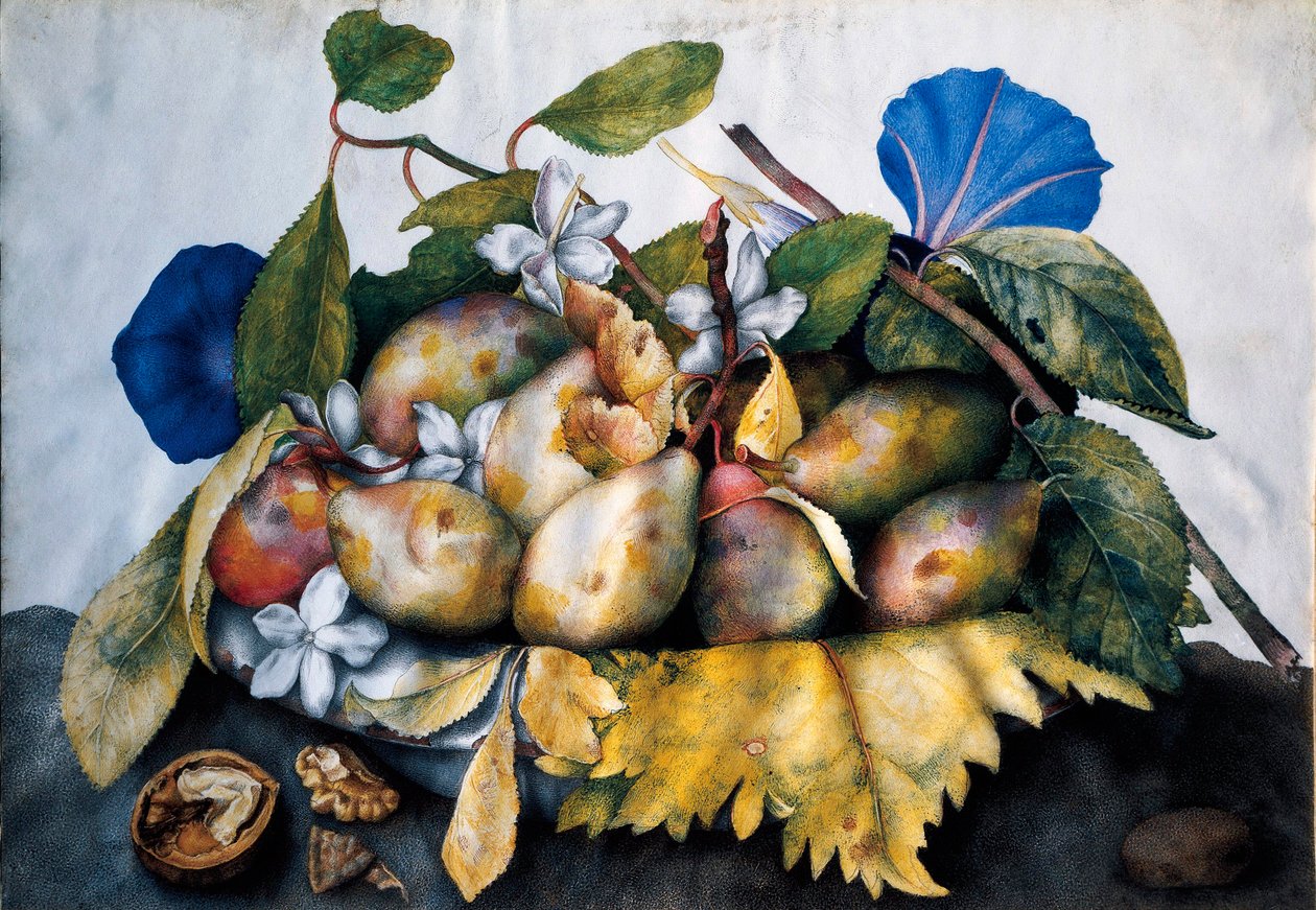 Bord met pruimen, jasmijn en noten. Schilderij op perkament door Giovanna Garzoni (1600-1670) door Giovanna Garzoni