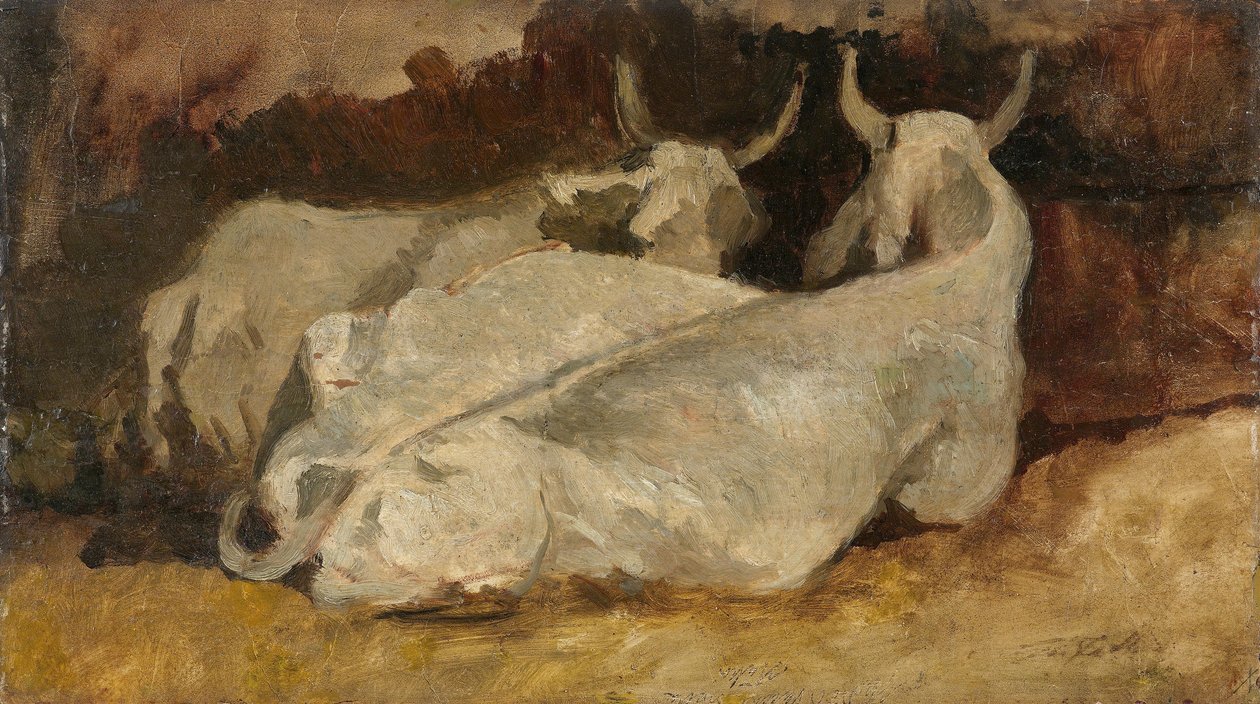 Liggende koeien door Giovanni Fattori