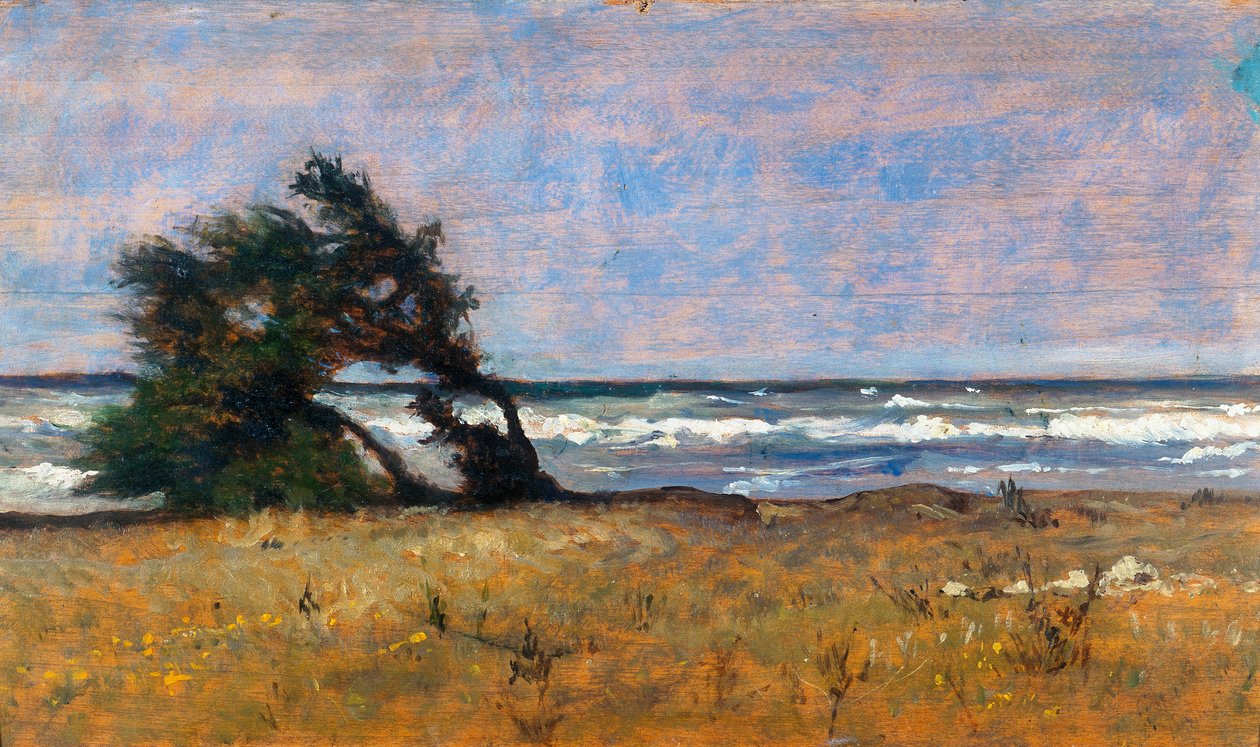 Storm door Giovanni Fattori