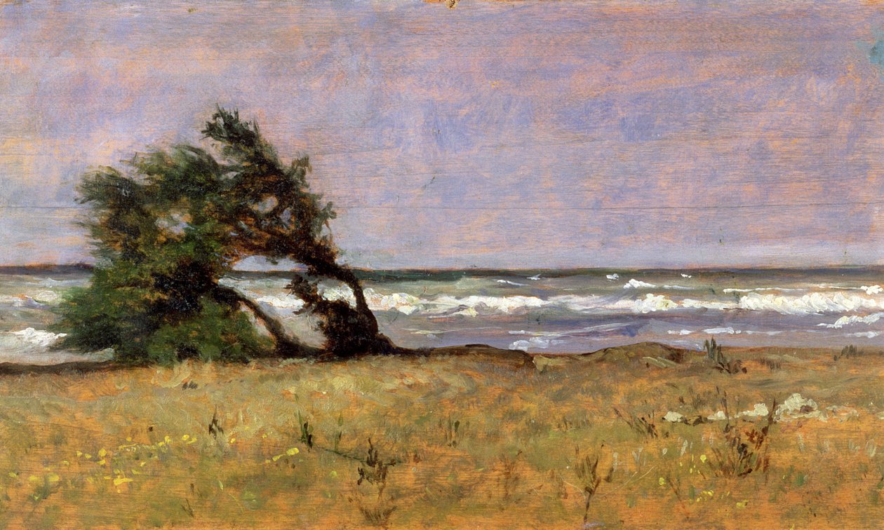 Storm door Giovanni Fattori