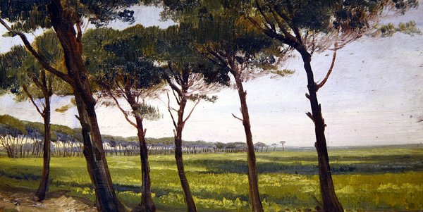 Een Rij Oude Pijnbomen door Giovanni Costa