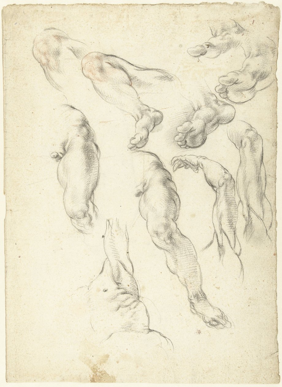 Studieblad met armen en benen door Giovanni Alberti
