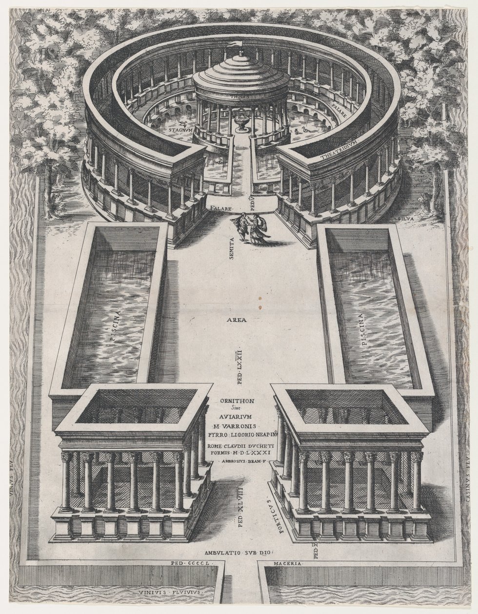Speculum Romanae Magnificentiae: Ornithon Sive Aviarum, 1581 door Giovanni Ambrogio Brambilla