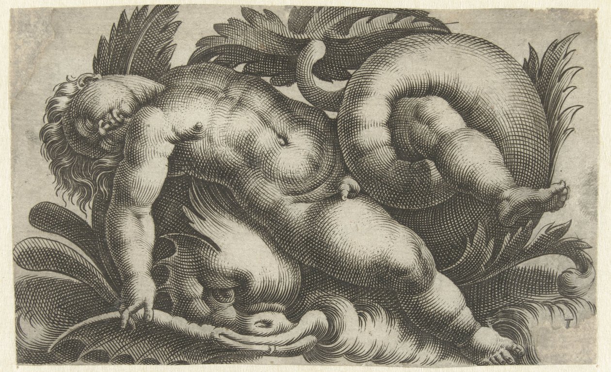 Slapende putto op dolfijn door Giovanni Andrea Maglioli