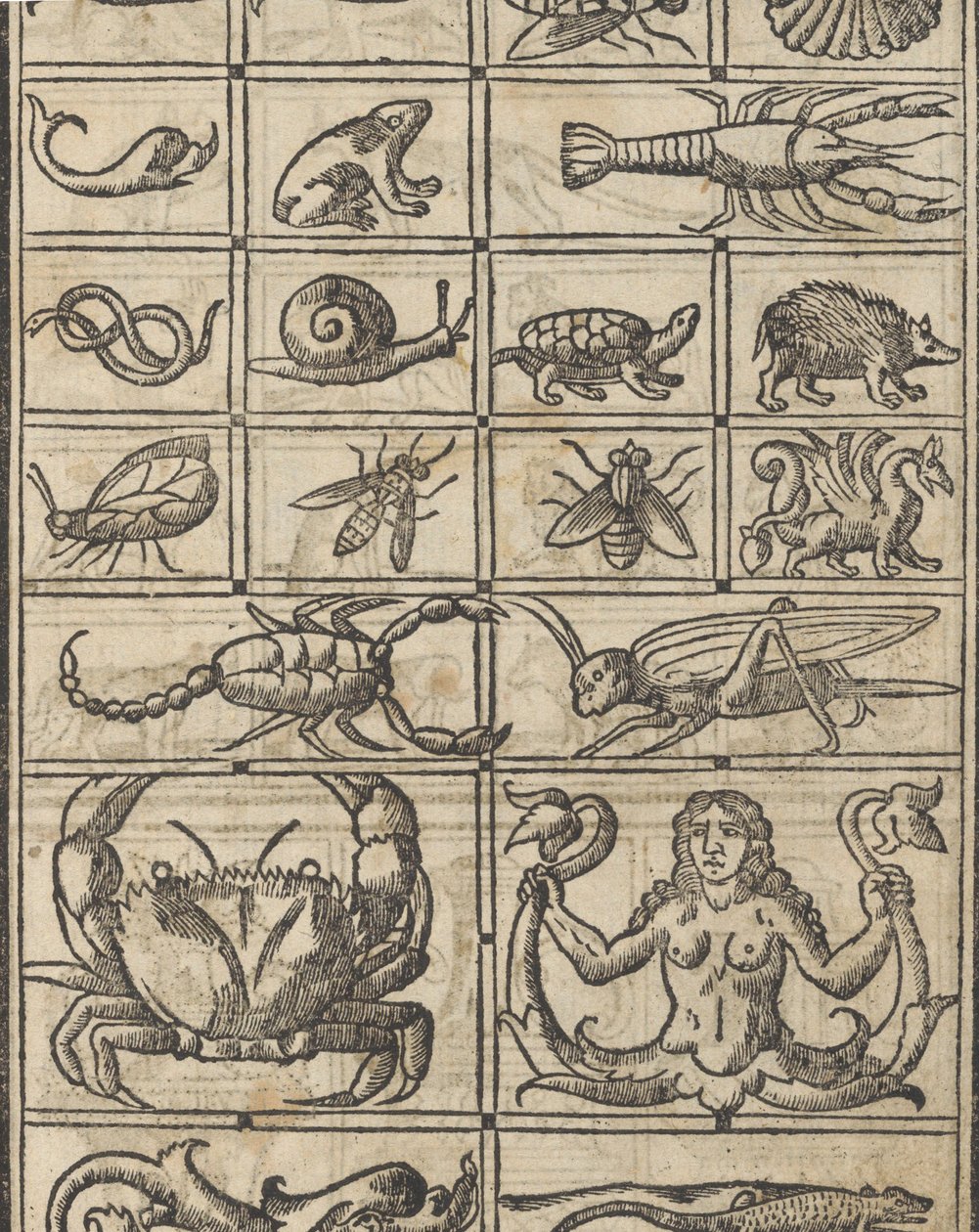 Essempio di recammi, pagina 11 recto door Giovanni Antonio Tagliente